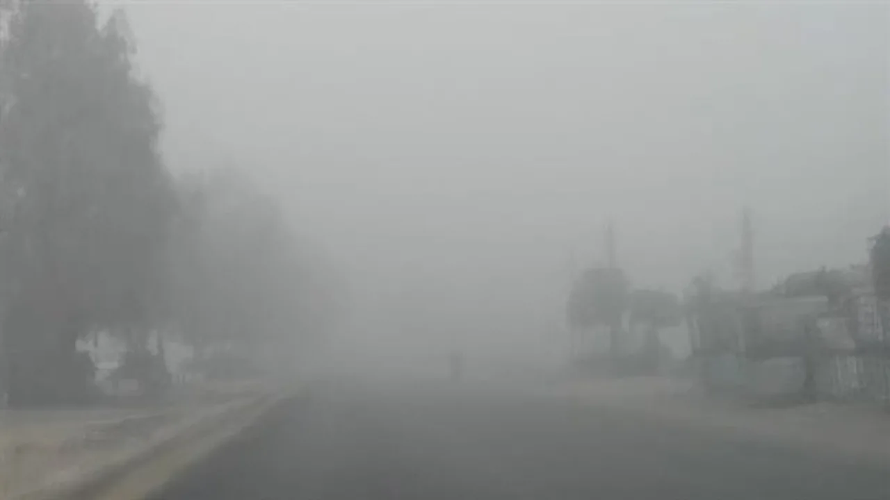 الأرصاد تحذر من الشبورة المائية وتكشف تفاصيل حالة الطقس غدا على الطرق